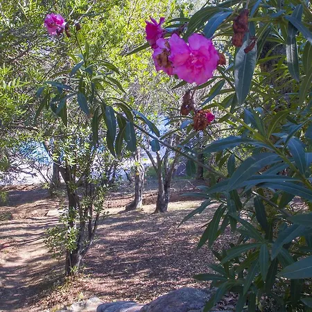 Thalassa 別荘 サント・リュシー・ド・ポルト・ヴェッキオ