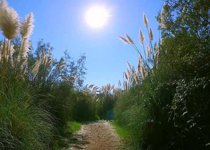 Thalassa Casa de Férias *