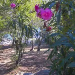 Thalassa Vakantiehuis Sainte-Lucie de Porto-Vecchio
