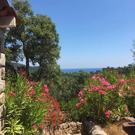 Thalassa Hébergement de vacances