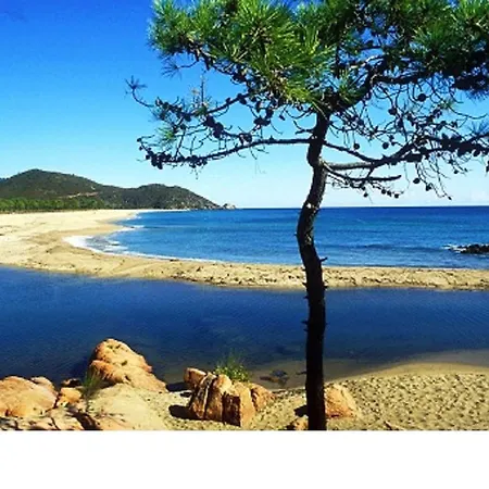 Thalassa *