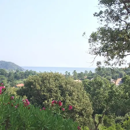 Thalassa Hébergement de vacances *