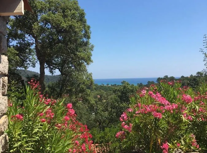 Thalassa Сasa de vacaciones