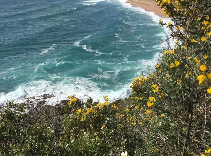 Σπίτι διακοπών Thalassa Sainte-Lucie de Porto-Vecchio