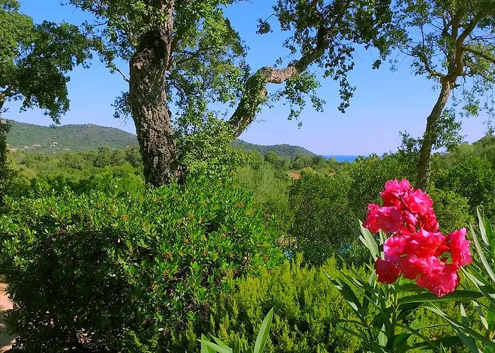 Thalassa Сasa de vacaciones