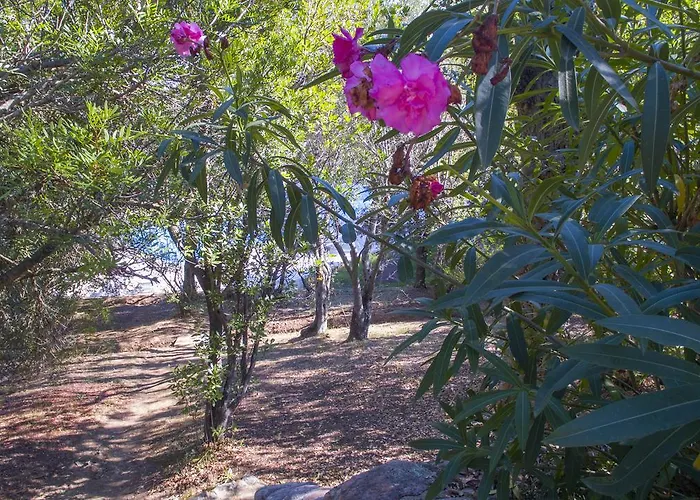 Thalassa Hébergement de vacances Sainte-Lucie-de-Porto-Vecchio