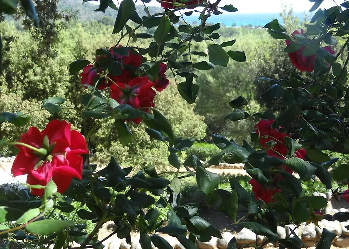 Hébergement de vacances Thalassa *